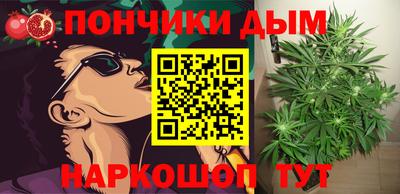 прущие грибы Гусиноозёрск