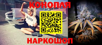 прущие грибы Гусиноозёрск