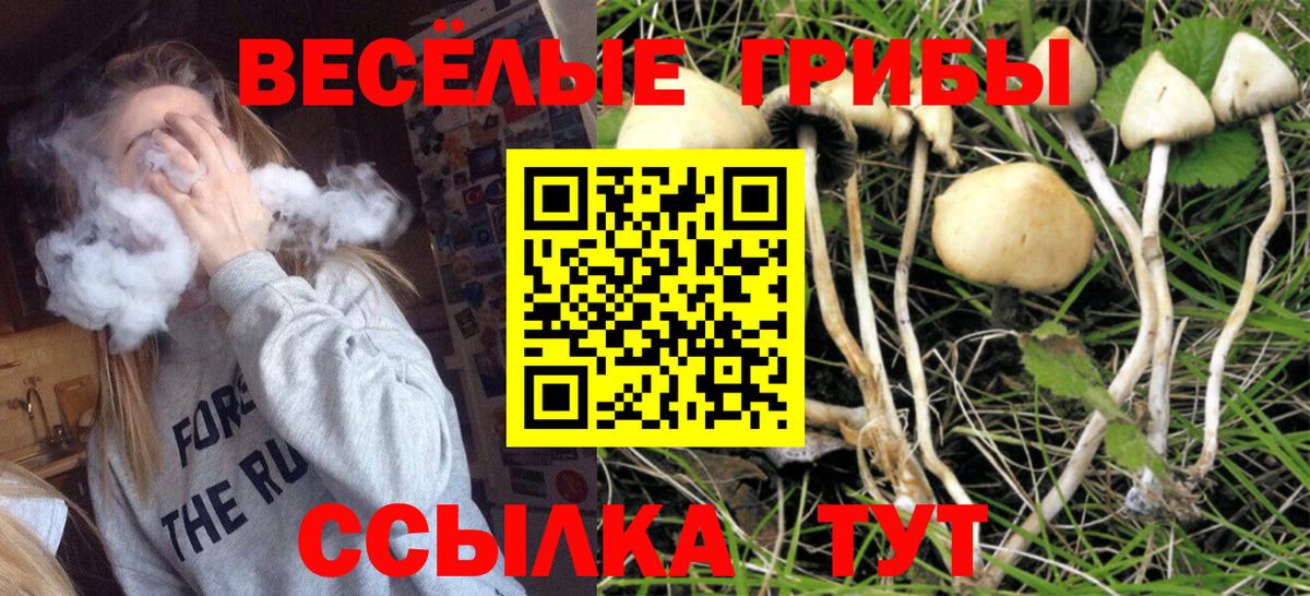 ГАШИШ  Alpha-PVP СОЛЬ кристаллы  Нижнеудинск  Вход с VPN  Бошки Шишки  Кокаин  МЕФ кристаллы  Лсд 25 