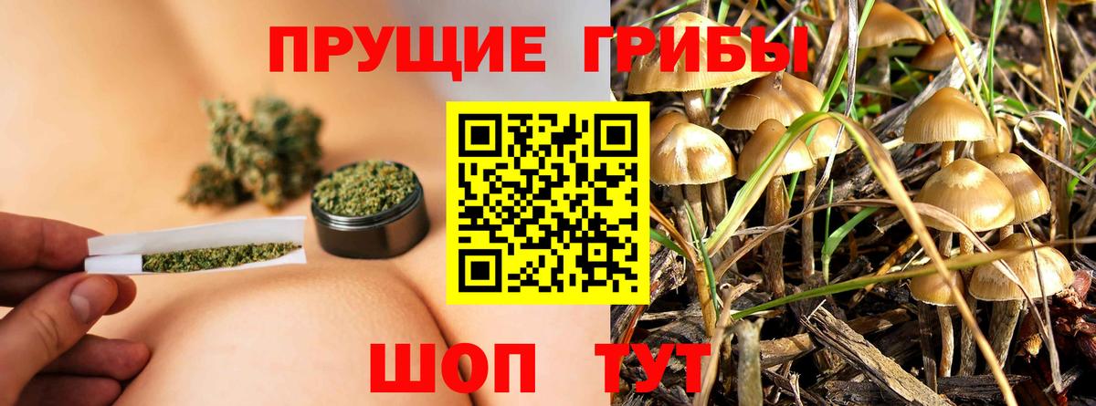 Нижнеудинск  Псилоцибиновые грибы Cubensis  Вход с VPN 