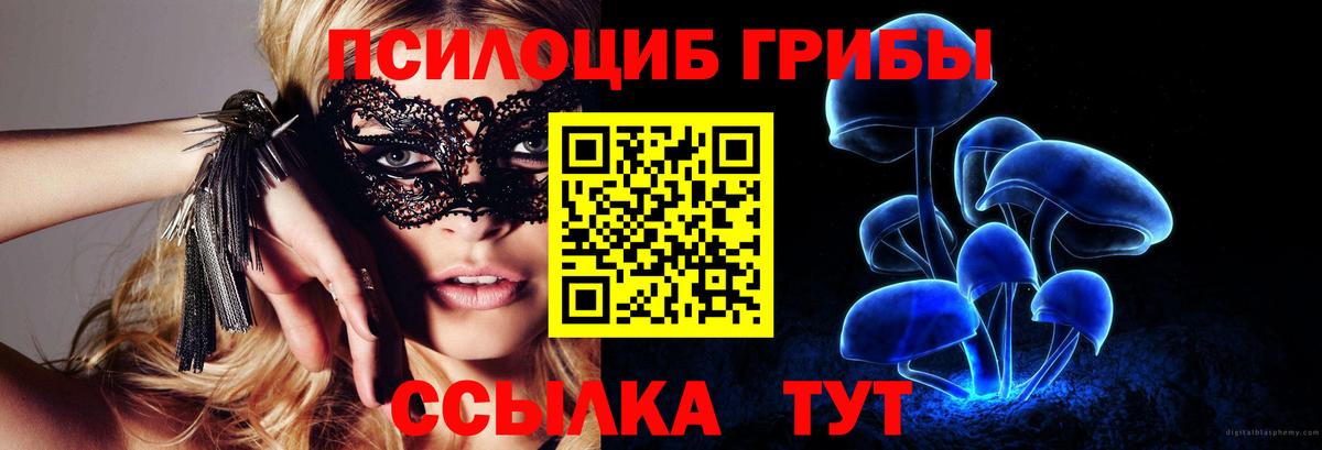 Псилоцибиновые грибы Cubensis Нижнеудинск